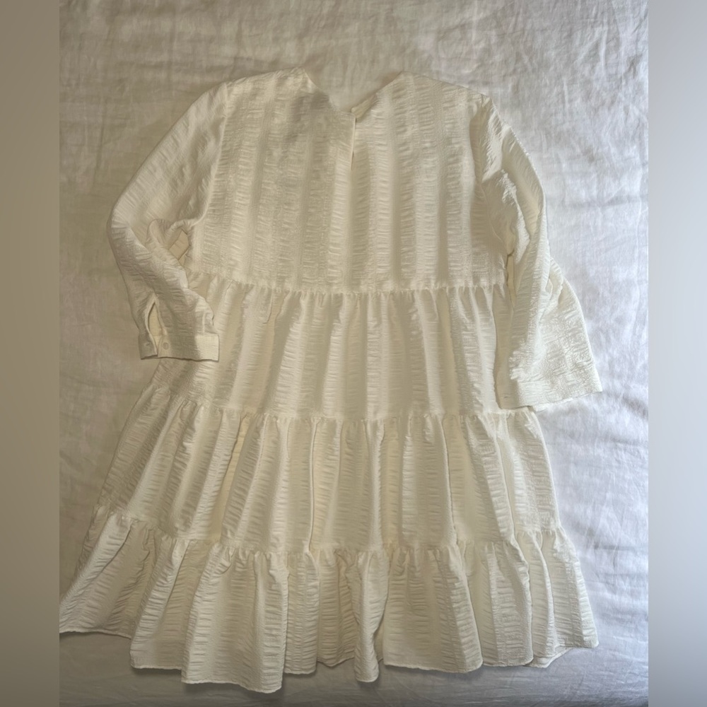 Zara dress